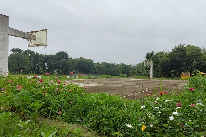 Saint Xavier's College, Dumka campus photo 4