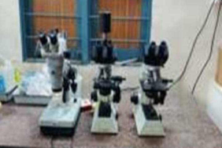 Sri Sai Baba National Degree College, Anantapur campus photo 5