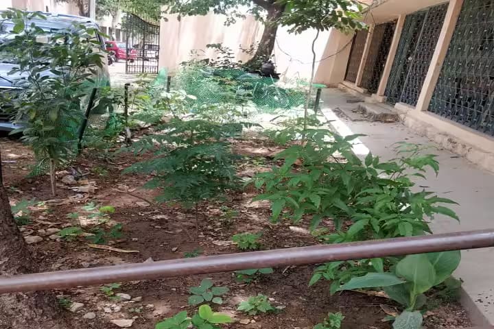Government Degree College, Falaknuma campus photo 6