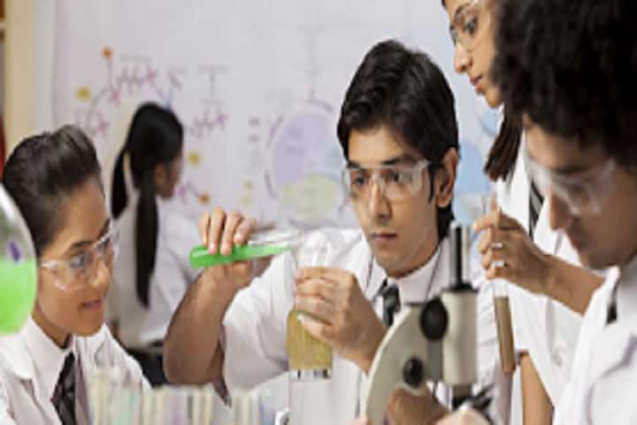 Smt Hemlata Memorial College, Jaipur campus photo 2